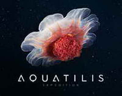 Производитель автобусов «Белес» сообщил о переговорах с госорганами