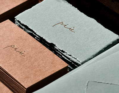 Qalqan платформасы не үшін керек: ӘМСҚ басшысы түсіндірді