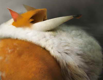 Саясат Нұрбек президентке жаңа Конституцияның білім мен ғылым саласындағы әлеуеті жайында баяндады